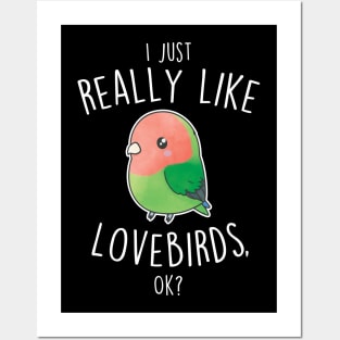 Really Like Peach-Faced Lovebird Parrot Posters and Art